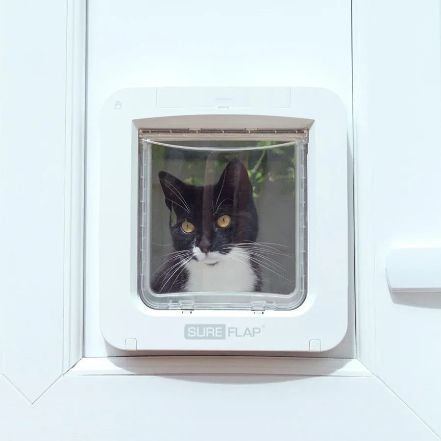 SureFlap Secure Microchip Cat Door – White Small