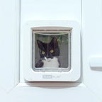 SureFlap Secure Microchip Cat Door – White Small
