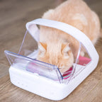 SureFeed Microchip Pet Feeder for Cats & Small Dogs – White