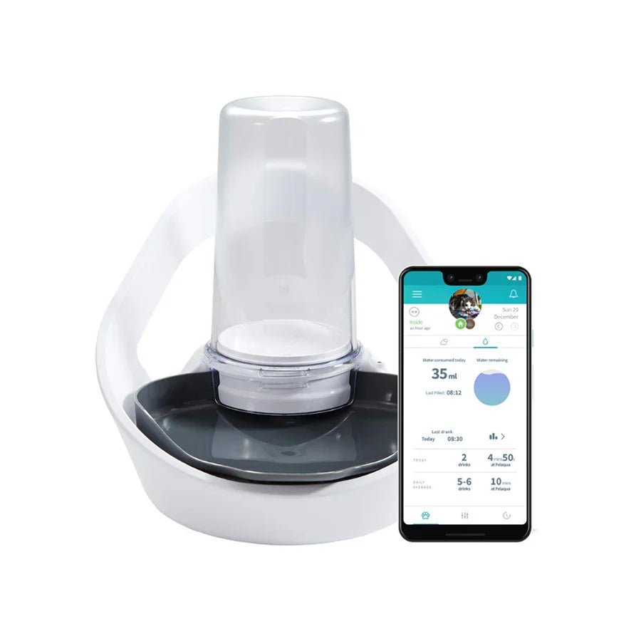 Sure Petcare Felaqua Connect Pet Water Bowl – White