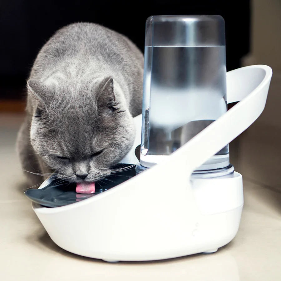 Sure Petcare Felaqua Connect Pet Water Bowl – White