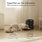 Petlibro Granary Automatic Feeder 3L – Automatic Pet Food Dispenser for Cats & Dogs