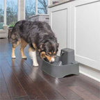 PetSafe Drinkwell 1.8L Pet Fountain – Automatic Water Fountain for Cats & Dogs